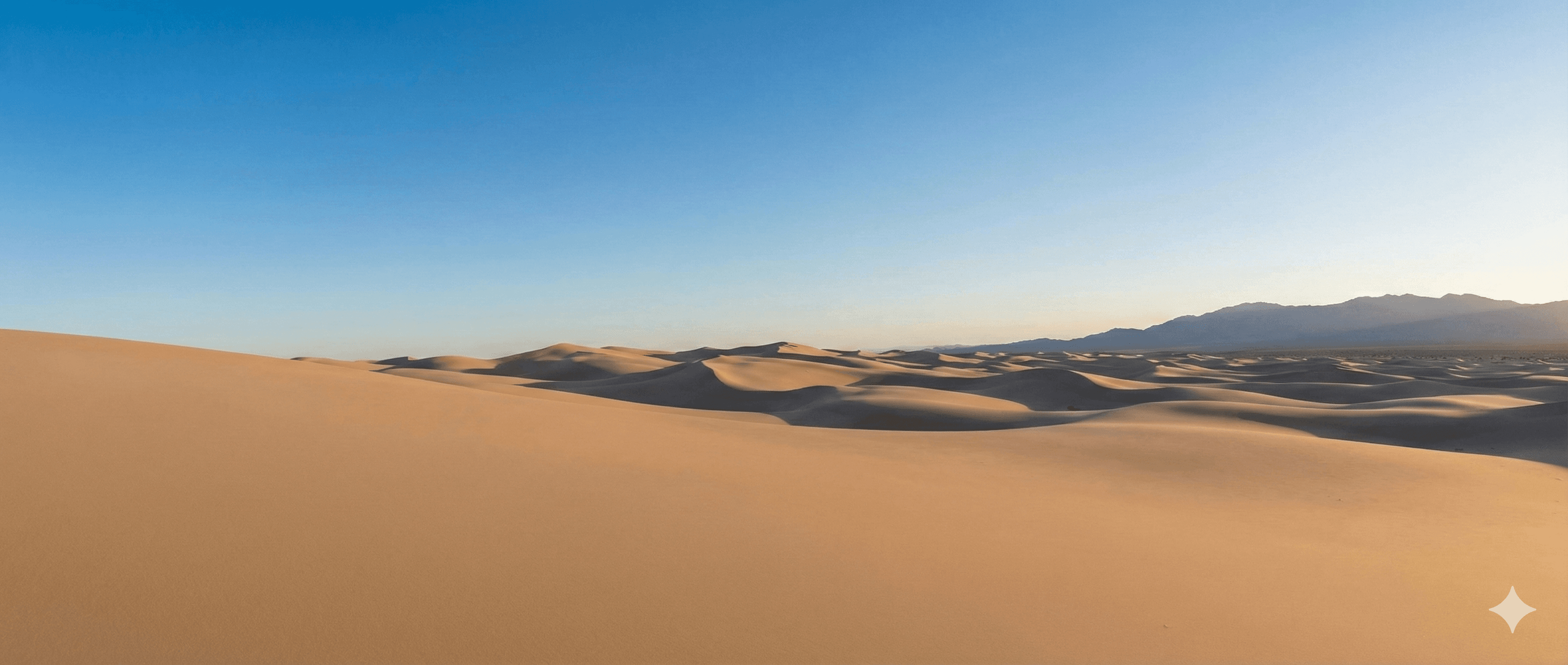 African landscape with livestock